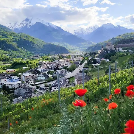 Les Vignes - Vacanze Valle D'aosta Saint-Pierre